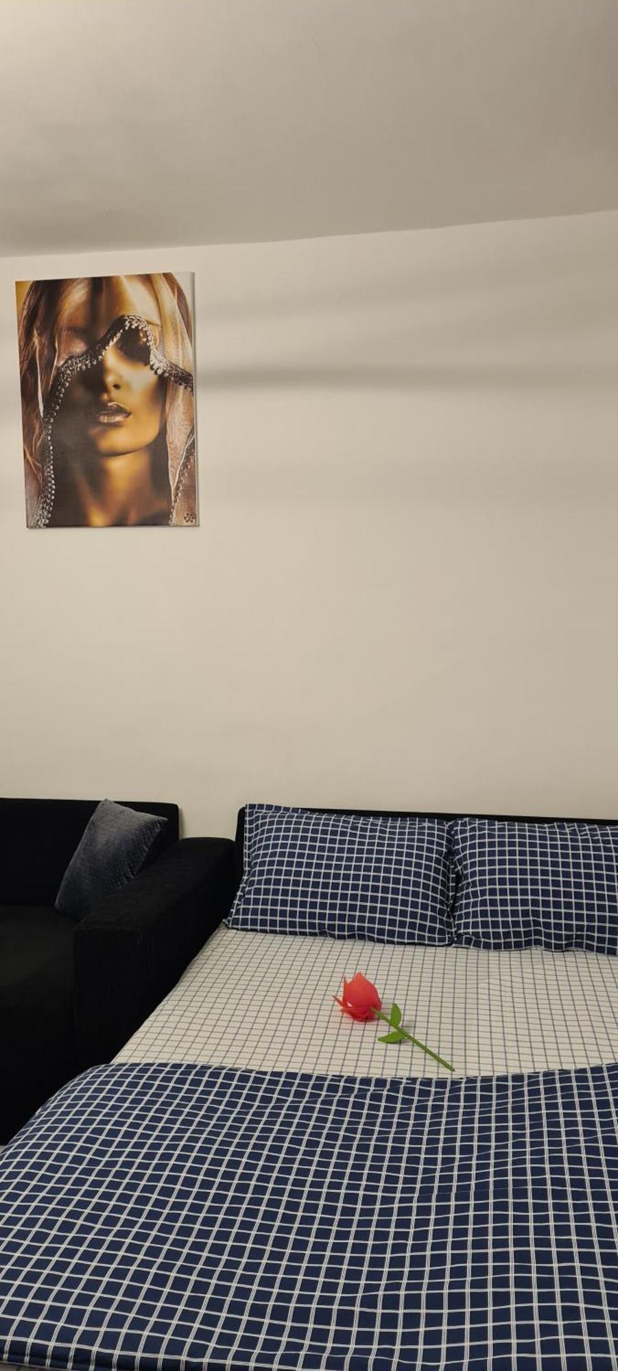 Tiki'S Bar Studio Bukurešť Exteriér fotografie